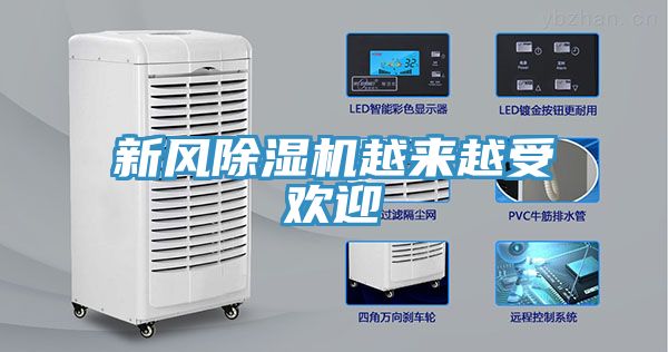 新风猫咪成人官网越来越受欢迎