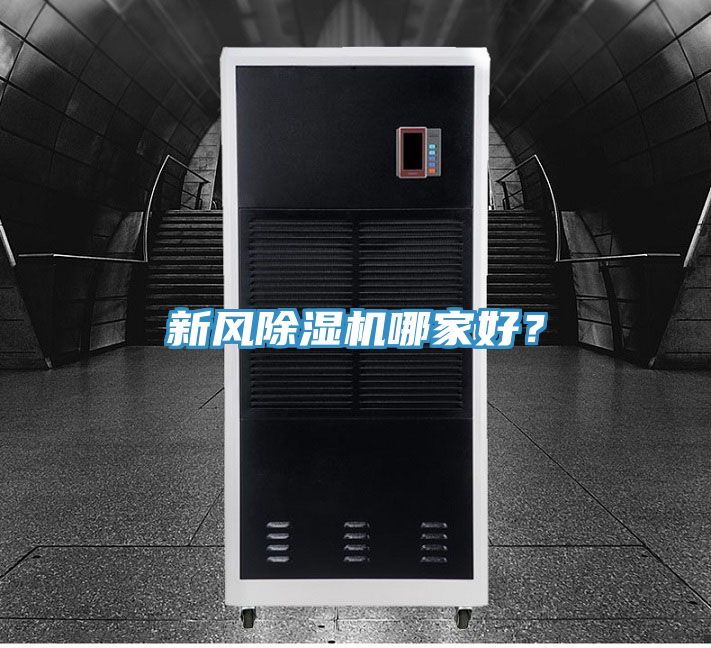 新风猫咪成人官网哪家好？