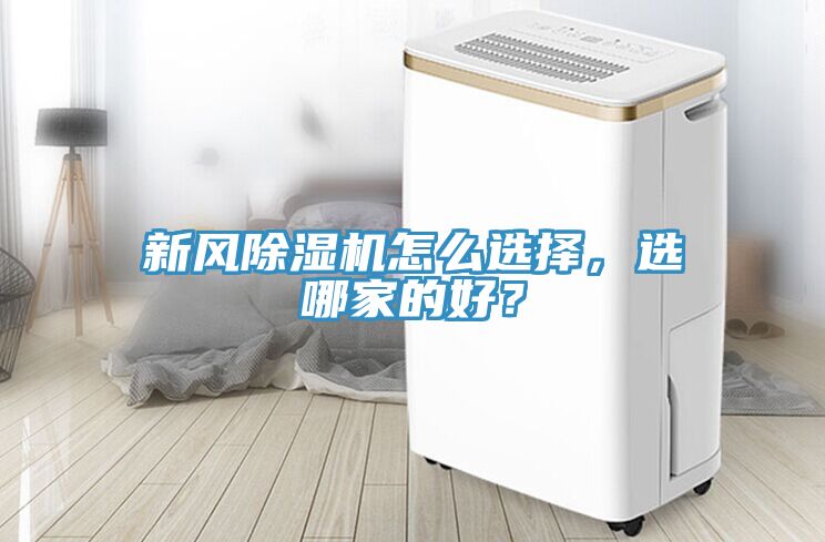 新风猫咪成人官网怎么选择，选哪家的好？