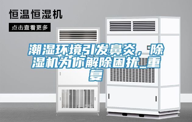 潮湿环境引发鼻炎，猫咪成人官网为你解除困扰_重复