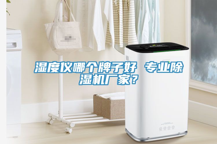 湿度仪哪个牌子好 专业猫咪成人官网厂家？