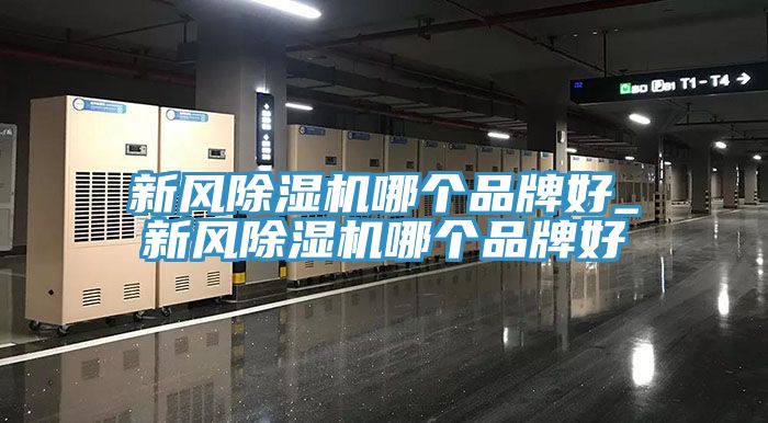 新风猫咪成人官网哪个品牌好_新风猫咪成人官网哪个品牌好