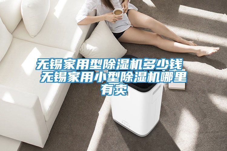 无锡家用型猫咪成人官网多少钱 无锡家用小型猫咪成人官网哪里有卖
