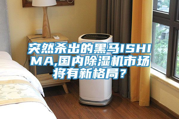 突然杀出的黑马ISHIMA,国内猫咪成人官网市场将有新格局？