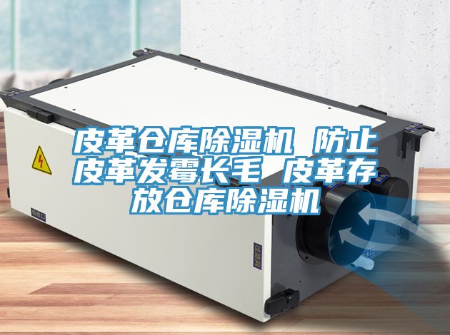 皮革仓库猫咪成人官网 防止皮革发霉长毛 皮革存放仓库猫咪成人官网
