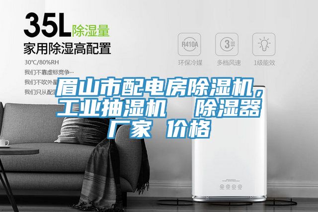 眉山市配电房猫咪成人官网，工业抽湿机  除湿器厂家 价格