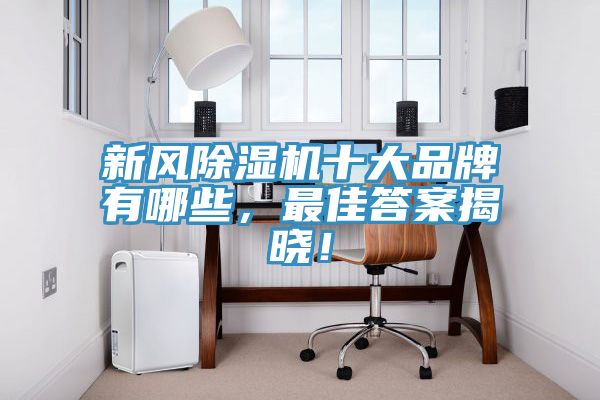 新风猫咪成人官网十大品牌有哪些，最佳答案揭晓！