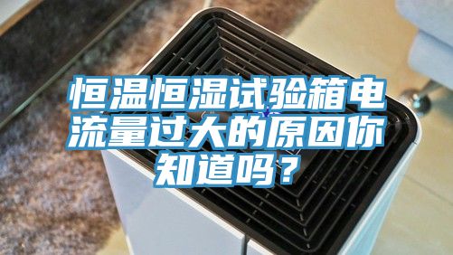 恒温恒湿试验箱电流量过大的原因你知道吗？