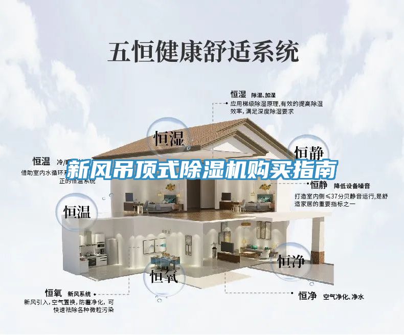 新风吊顶式猫咪成人官网购买指南