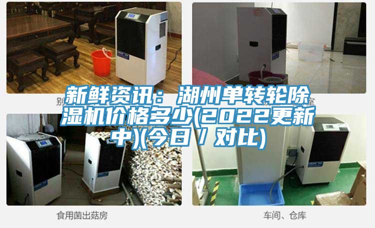 新鲜资讯：湖州单转轮猫咪成人官网价格多少(2022更新中)(今日／对比)