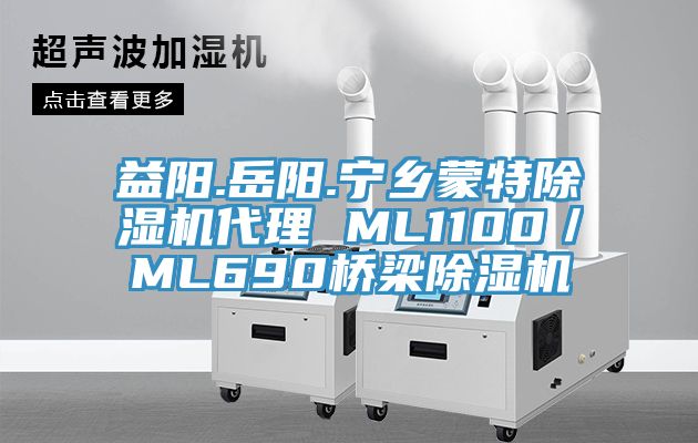 益阳.岳阳.宁乡蒙特猫咪成人官网代理 ML1100／ML690桥梁猫咪成人官网