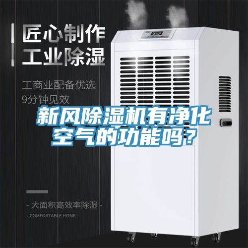 新风猫咪成人官网有净化空气的功能吗？