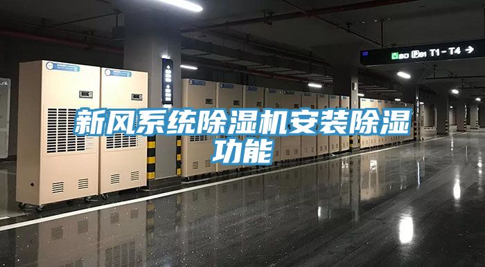 新风系统猫咪成人官网安装除湿功能