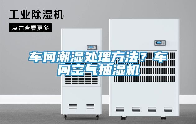 车间潮湿处理方法？车间空气抽湿机