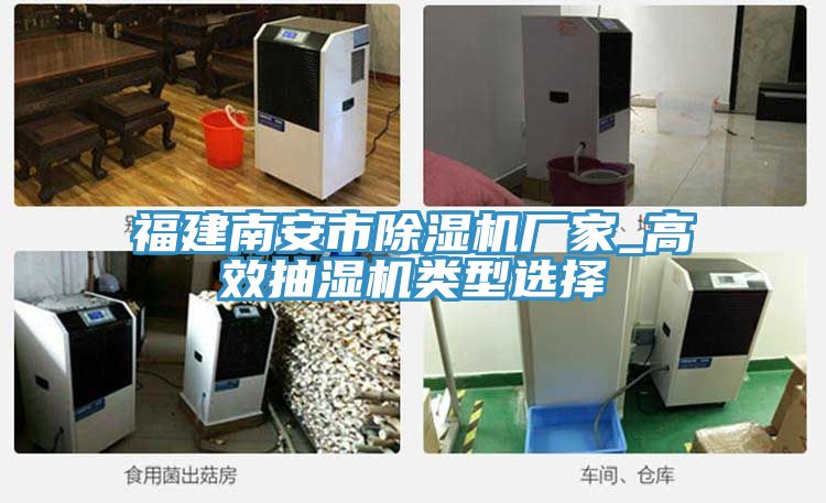 福建南安市猫咪成人官网厂家_高效抽湿机类型选择