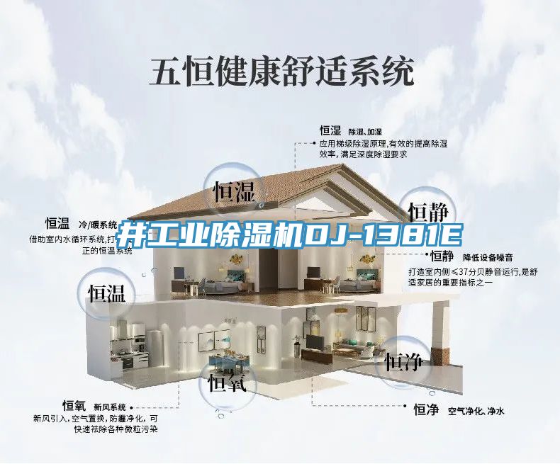 東井工业猫咪成人官网DJ-1381E