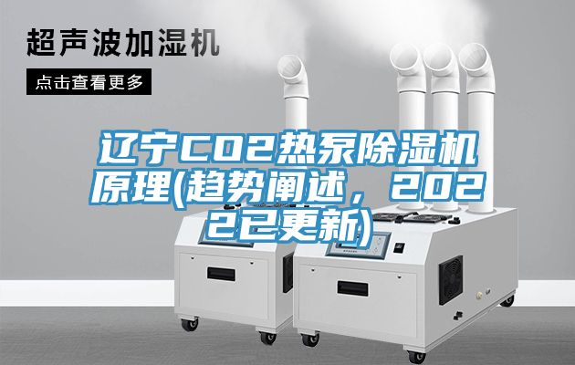 辽宁CO2热泵猫咪成人官网原理(趋势阐述，2022已更新)