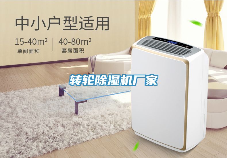 转轮猫咪成人官网厂家