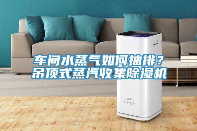 车间水蒸气如何抽排？吊顶式蒸汽收集猫咪成人官网