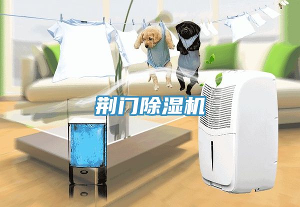 荆门猫咪成人官网