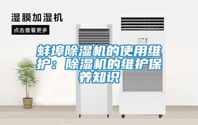 蚌埠猫咪成人官网的使用维护：猫咪成人官网的维护保养知识