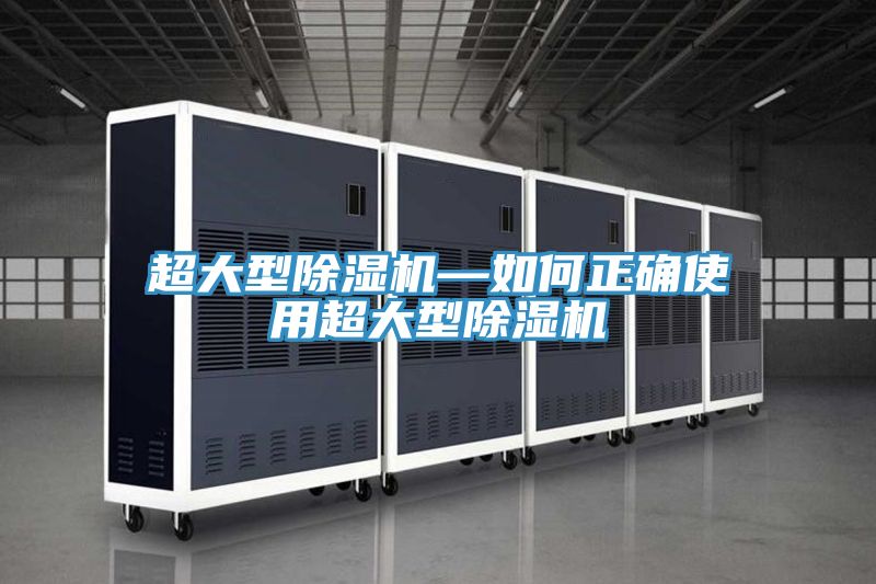 超大型猫咪成人官网—如何正确使用超大型猫咪成人官网