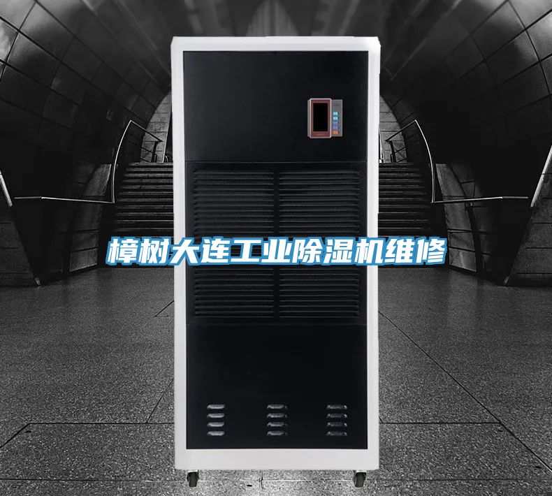 樟树大连工业猫咪成人官网维修
