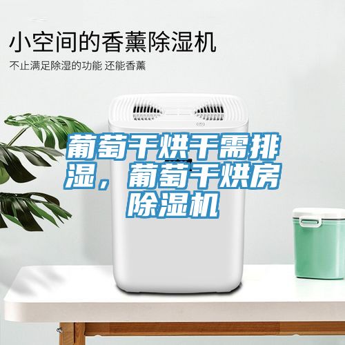 葡萄干烘干需排湿，葡萄干烘房猫咪成人官网
