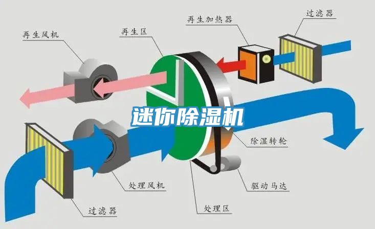 迷你猫咪成人官网