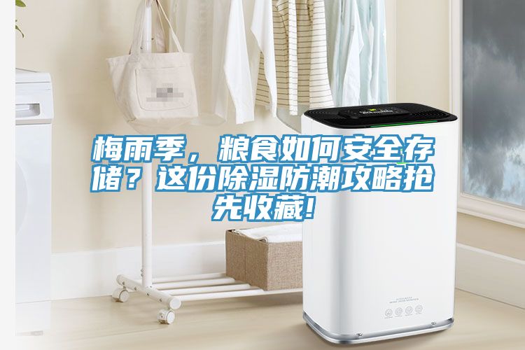 梅雨季，粮食如何安全存储？这份除湿防潮攻略抢先收藏!