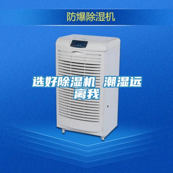 选好猫咪成人官网 潮湿远离我