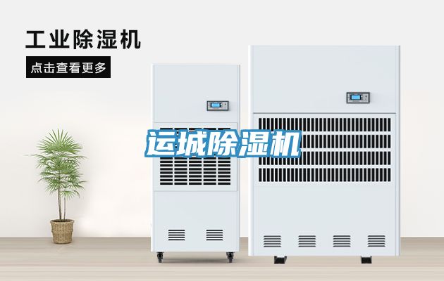 运城猫咪成人官网
