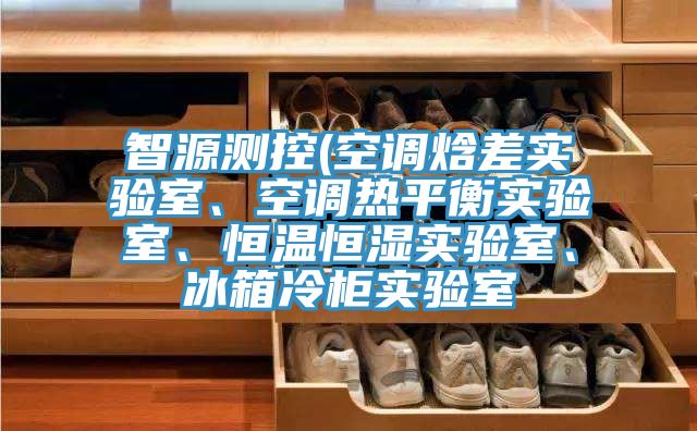 智源测控(空调焓差实验室、空调热平衡实验室、恒温恒湿实验室、冰箱冷柜实验室