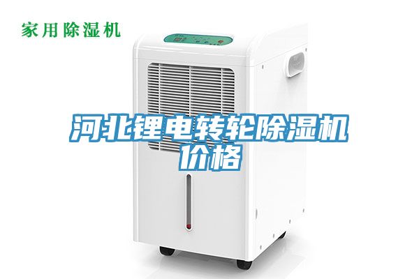 河北锂电转轮猫咪成人官网价格