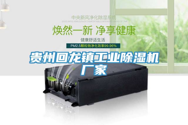 贵州回龙镇工业猫咪成人官网厂家