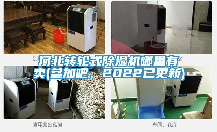 河北转轮式猫咪成人官网哪里有卖(参加吧，2022已更新)