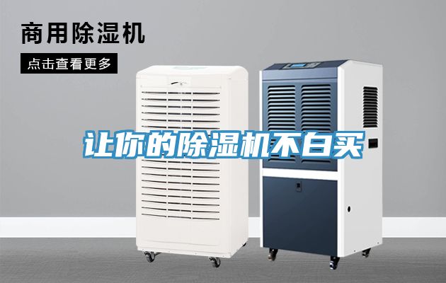 让你的猫咪成人官网不白买