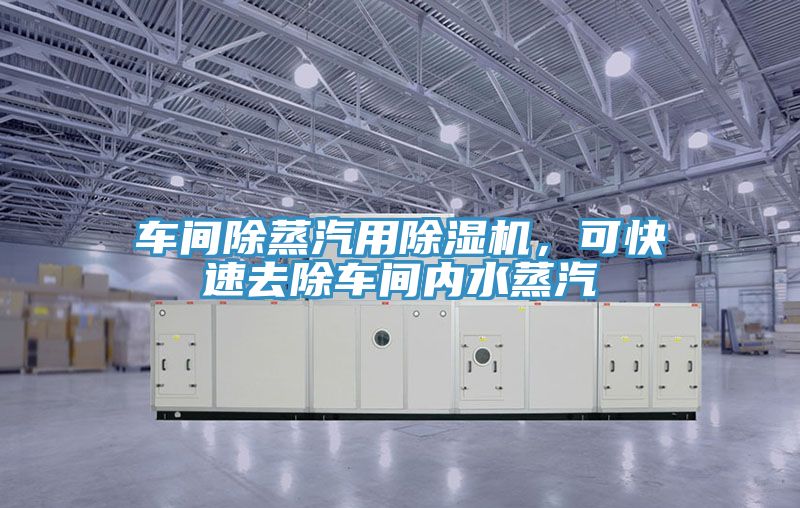 车间除蒸汽用猫咪成人官网，可快速去除车间内水蒸汽