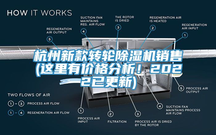 杭州新款转轮猫咪成人官网销售(这里有价格分析！2022已更新)