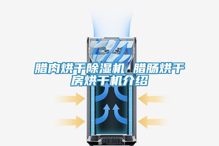 腊肉烘干猫咪成人官网 腊肠烘干房烘干机介绍
