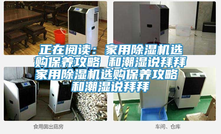正在阅读：家用猫咪成人官网选购保养攻略 和潮湿说拜拜家用猫咪成人官网选购保养攻略 和潮湿说拜拜