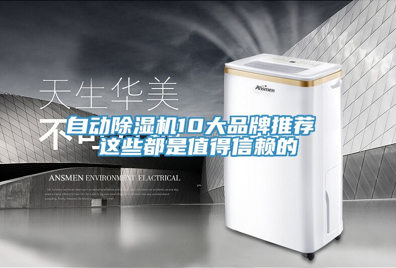 自动猫咪成人官网10大品牌推荐 这些都是值得信赖的
