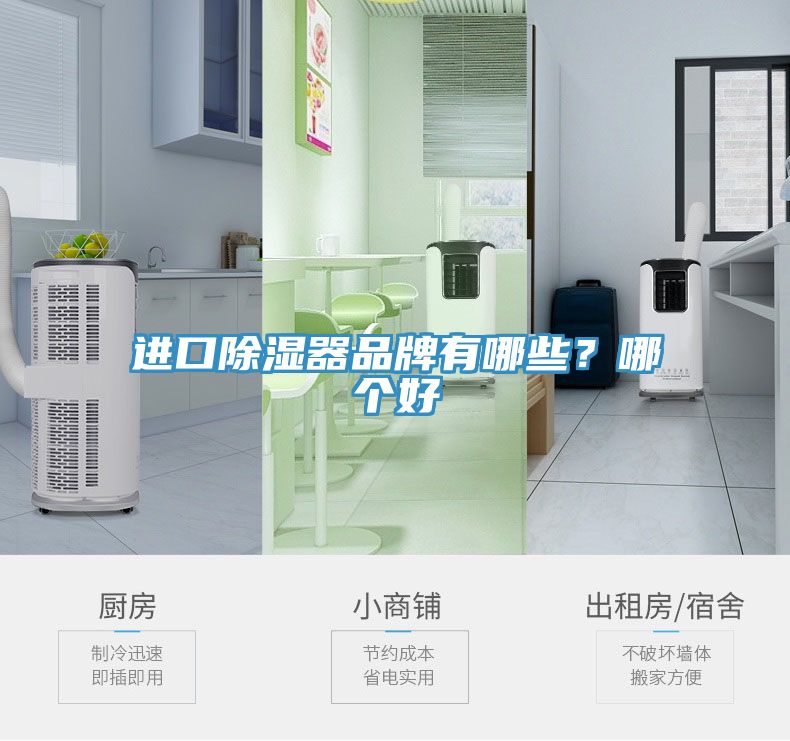 进口除湿器品牌有哪些？哪个好