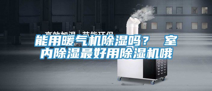 能用暖气机除湿吗？ 室内除湿最好用猫咪成人官网哦