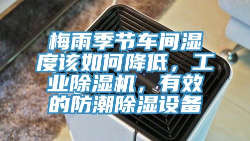 梅雨季节车间湿度该如何降低，工业猫咪成人官网，有效的防潮除湿设备