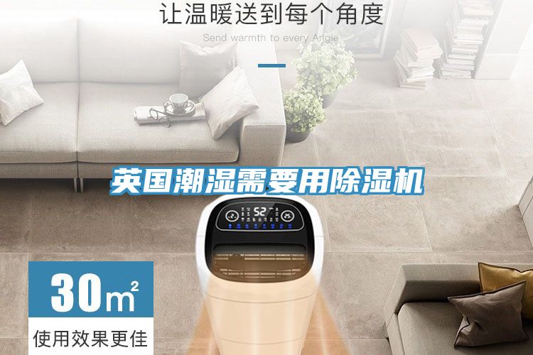 英国潮湿需要用猫咪成人官网