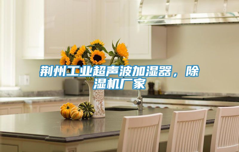荆州工业超声波加湿器，猫咪成人官网厂家
