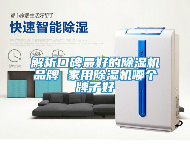 解析口碑最好的猫咪成人官网品牌 家用猫咪成人官网哪个牌子好