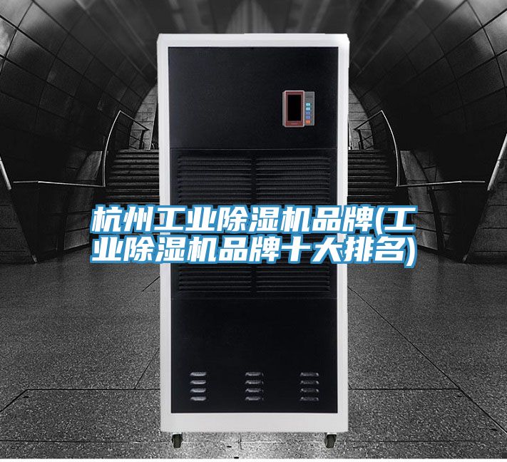 杭州工业猫咪成人官网品牌(工业猫咪成人官网品牌十大排名)