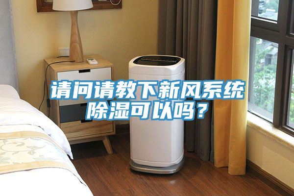 请问请教下新风系统除湿可以吗？